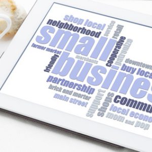 SBA 8a Mentor Protege & Small Business Joint Venture Regulations 13 CFR 124.513 & 13 CFR121.103